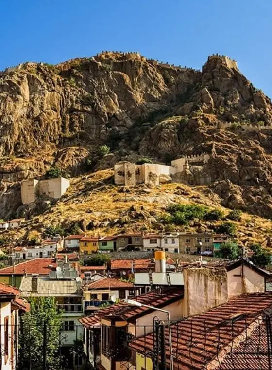 Afyon
