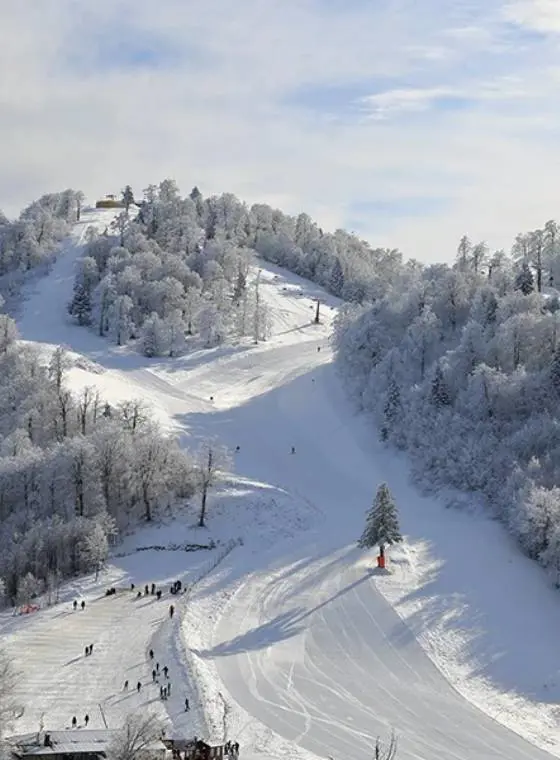Kartepe
